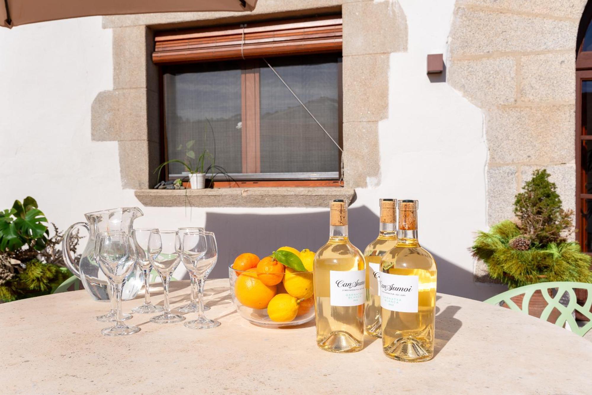 La Terraza - Grosszuegiges Appartment In Katalanischer Masia Sant Iscle De Vallalta 외부 사진